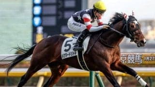 【福島記念予想】秋の福島開催の目玉重賞 ハンデ×フルゲートで一筋縄ではいかず