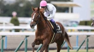 【競馬予想】ＧＩエリザベス女王杯は特大万馬券も夢ではない--高額配当の使者はこの２頭