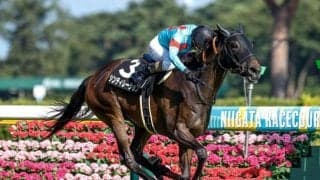 【エリザベス女王杯予想】人気薄狙うパターンとは 過去10年データから探るGI女王決定戦