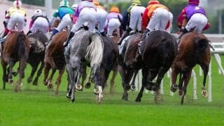 【エリザベス女王杯／馬場情報】京都は「やや硬め」の高速馬場　今の芝にマッチする“特注”の血統は…