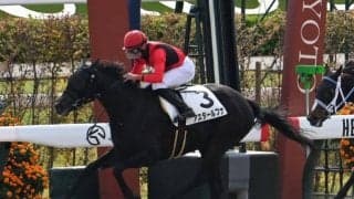 【京都4R新馬戦結果】ジョーカプチーノ産駒アスタールフナが差し返してV