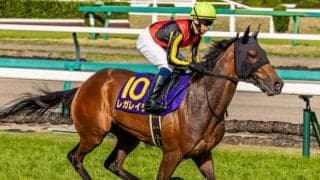 京都芝は上々のコンディション 外回りは外伸び優勢か