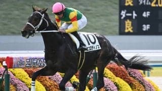 【京都5R新馬戦結果】キタサンブラック産駒エコロディノスが人気に応えてV