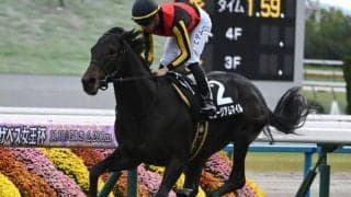 【黄菊賞結果】ミュージアムマイルが断然人気に応え2連勝