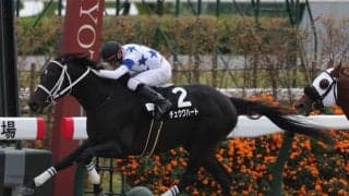 【JRA・WIN5】波乱続きで的中1票！ 配当は歴代5位の4億6496万3450円！