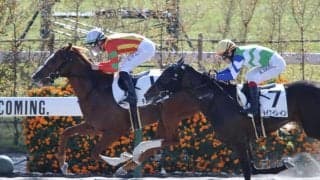 【京都2R】C.デムーロ騎乗 チムニートップスが断然の支持に応える