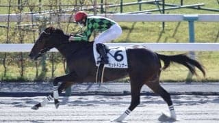 【京都1R】サートゥルナーリア産駒 ポッドドンナーが初勝利