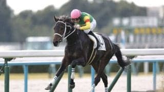 【新馬/京都5R】ムーア騎乗 エコロディノスがデビューV