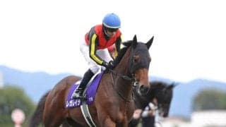 【エリザベス女王杯】ルメール「ごめんなさい」レース後ジョッキーコメント