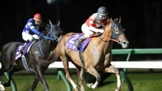 【盛岡・絆カップ】ウラヤが初1200mを快勝…村上忍「上手に走ってくれた」