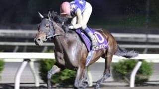 【高知・黒潮マイルチャンピオンシップ】グラティアスグーが5馬身差完勝…林「乗るごとに成長」