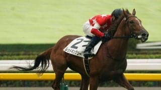 【東京スポーツ杯2歳S登録馬】レッドキングリーなど9頭