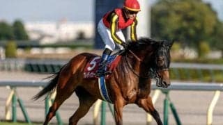 【マイルCS見どころ】牡馬相手でも決め手上位のブレイディヴェーグ