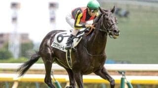 【東スポ杯2歳S見どころ】クロワデュノールの連勝に期待