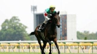 11月11日は「宝石の日」 ジュエリーにちなんだ馬名にはGI馬3頭を送り出した名繁殖も