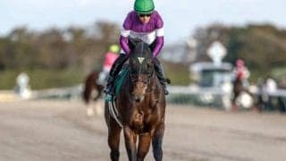 【武蔵野S】売上は38億774万5500円で昨年より約7億円増加