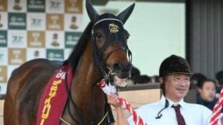 【デイリー杯2歳S】売上は15億857万5800円で昨年より約10億円の大幅減