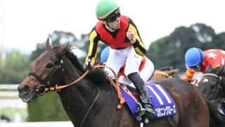 【エリザベス女王杯】売上は169億314万8200円で昨年より約1億円減少