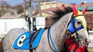 「父父メジロマックイーン×母母父オグリキャップ」 オグリマックイーンが3馬身差で初勝利