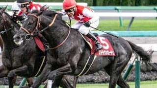【先週のJRA抹消馬】重賞2勝を挙げたステラヴェローチェ、芝・ダート双方で活躍のバスラットレオンなど