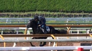 府中牝馬S覇者シャドウディーヴァの半弟 1.7億円馬インザスカイが初陣/関西馬メイクデビュー情報