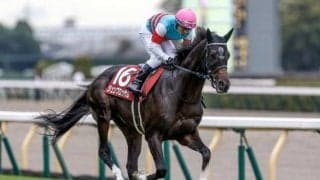 【AI予想・マイルCS】近況が好調な馬にマイル王の資格あり!? 人工知能は距離適性の高さを重視