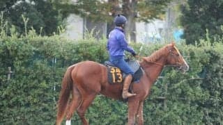 一族には国内外の活躍馬ずらり 1.5億円馬ダノンピクチャー/関東馬メイクデビュー情報