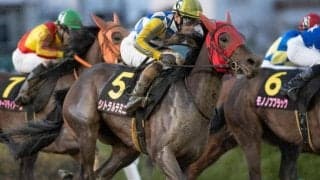 【川崎・ロジータ記念枠順】前哨戦Vのシトラルテミニは5枠8番