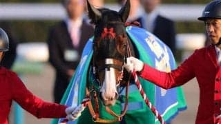 マイルCS史上7頭目の連覇達成へ C.デムーロ騎手×高野厩舎のタッグが2週連続GI制覇狙う