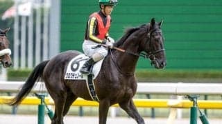 【東スポ杯2歳S展望】2歳戦屈指の出世レース、決め手勝負になりやすい