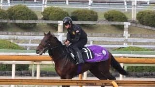 エンダードラゴンなど、先週の入厩情報/栗東トレセンニュース