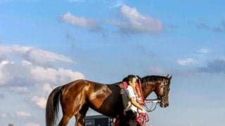 【マイルCS予想オッズ】ブレイディヴェーグが予想1番人気