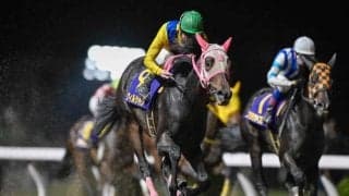 【川崎・ローレル賞結果】ウィルシャインが無傷3連勝で重賞初制覇