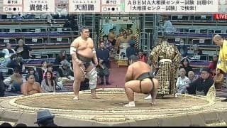 どうしてこうなった？ 力士の髷が大爆発…顔が見えなくなる珍事 ”超ワイルド”力士の誕生に「激しい…！」「なんかすごいことになってる」