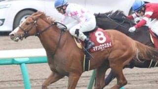 史上2組目の偉業達成へ モーリス産駒の伏兵3頭がマイルCS父仔制覇に挑む