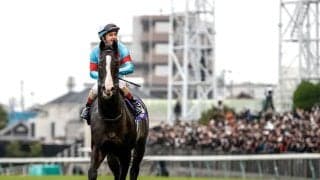 ジャパンC指定席は最高倍率「29.7倍」世界から強豪馬参戦でプラチナチケットに