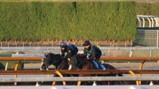 アーテルアストレア、チャンピオンズC2週前追い切り速報/栗東トレセンニュース