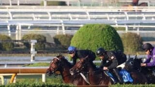 ドウデュース、ジャパンC1週前追い切り速報/栗東トレセンニュース