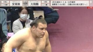 戦禍から避難…ウクライナ出身新十両力士の化粧まわしに「泣ける」の声