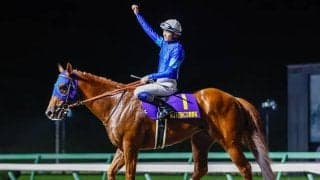 【チャンピオンズC想定】レモンポップ、ウィルソンテソーロなど18頭