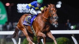 【川崎・ロジータ記念結果】昨年の2歳女王ローリエフレイバーが久々の勝利！重賞2勝目を挙げる