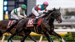 【マイルCS予想】トップマイラーが一堂に集結 AIの推奨は勢いに乗る注目の5歳馬