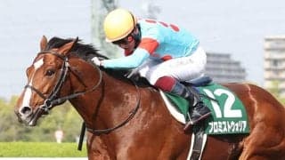 プロミストウォリアの競走馬登録抹消…種牡馬入り