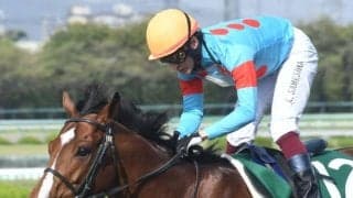 ダート重賞2勝のプロミストウォリアが抹消 今後は種牡馬入り