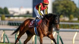 【マイルCS出走馬・騎手確定】ブレイディヴェーグ＆C.ルメール騎手、ソウルラッシュ＆団野大成騎手など17頭