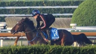 ラムジェット、チャンピオンズC2週前追い切り速報/栗東トレセンニュース