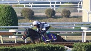 アルナシーム、マイルCS最終追い切り速報/栗東トレセンニュース