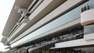 阪神JF出走予定の米国重賞馬メイデイレディ 来日スケジュールが発表