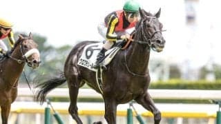 【東スポ杯2歳S出走馬・騎手確定】クロワデュノール＆北村友一騎手、レッドキングリー＆C.ルメール騎手など9頭