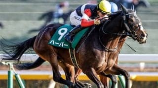 23年オークス2着ハーパーが登録抹消 ノーザンファームで繁殖入り